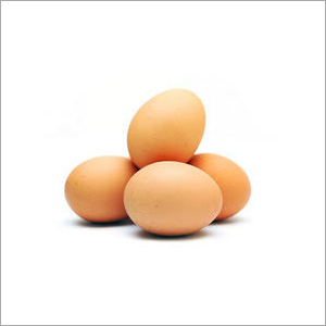 ডিম এক হালি